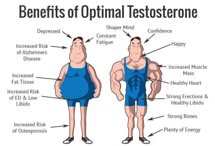 Proč potřebujeme testosteron?