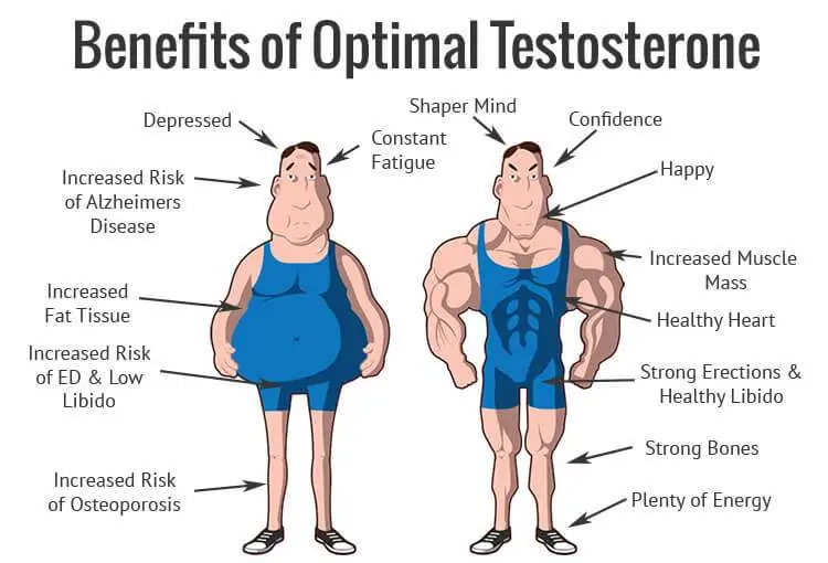 Prečo potrebujeme testosterón?